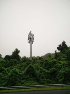 A cell phone tower in the middle of some shrubs and trees